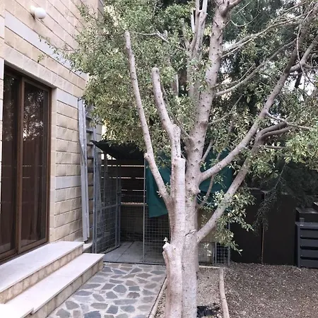 Imperial Paphos